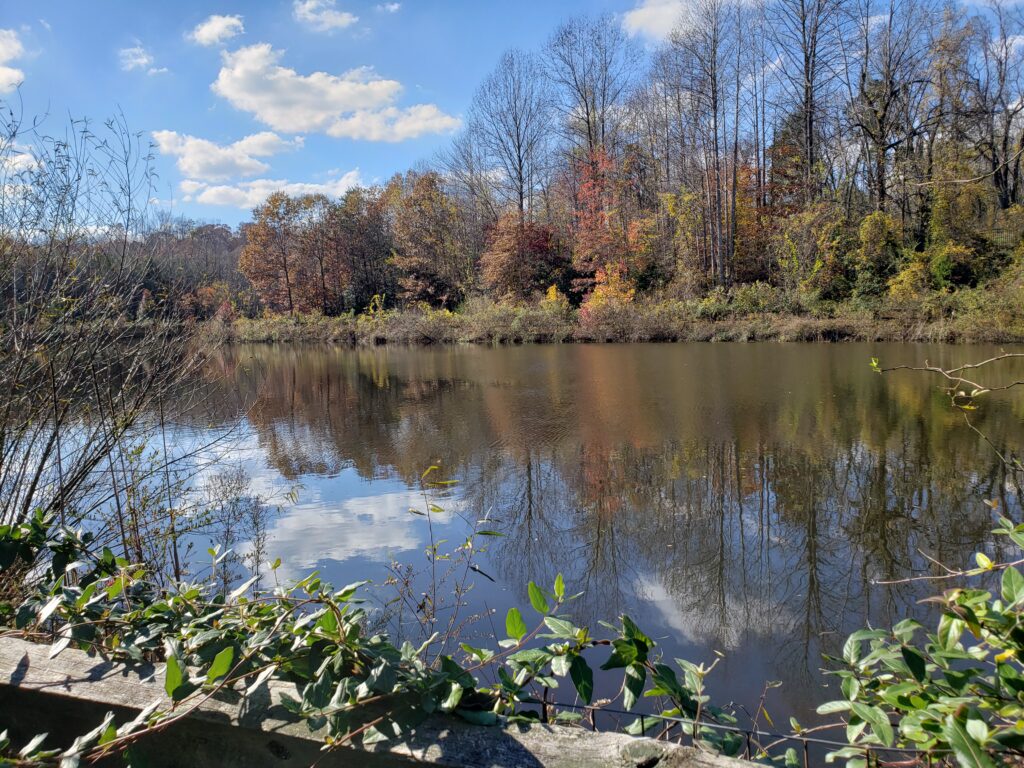 example of scenery seen on my hikes